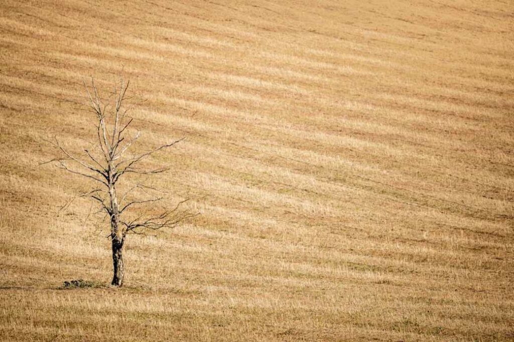 UK Risks Water Rationing Amidst Mediterranean-Style Scarcity