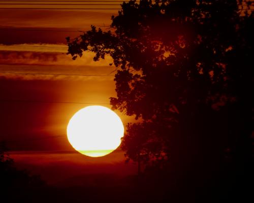 UK Heatwave Could Claim Nearly 600 Lives, Researchers Warn