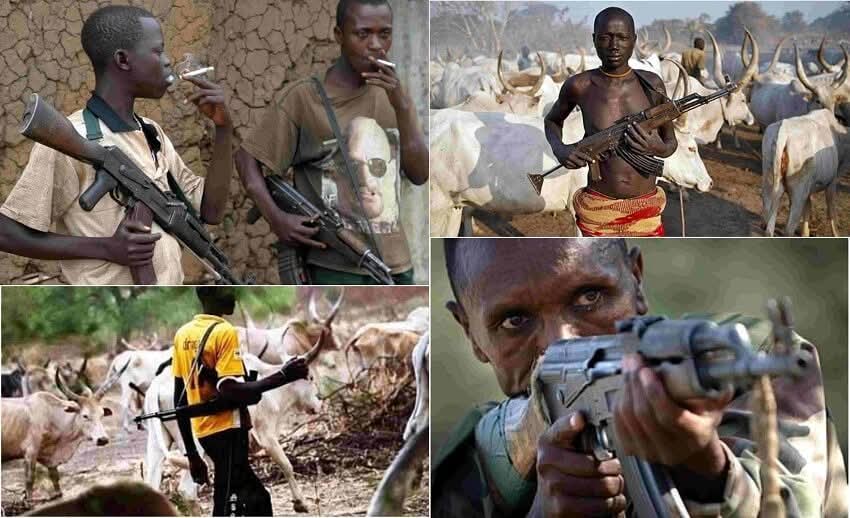 BREAKING: Armed Herdsmen Attack Benue Community Again, Just Two Days After Tinubu’s Visit