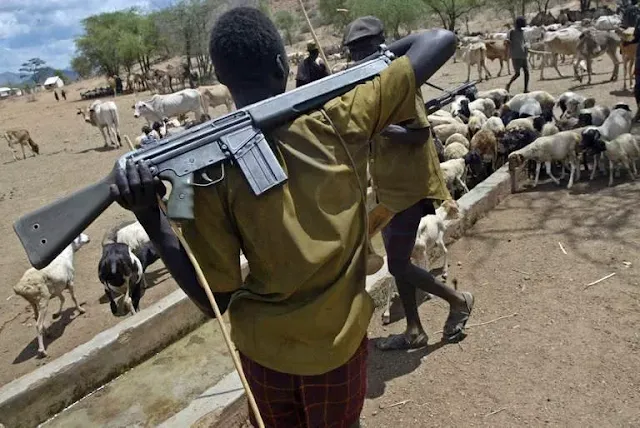 Fulani Herdsmen Kill Over 10 in Enugu After Benue Massacre