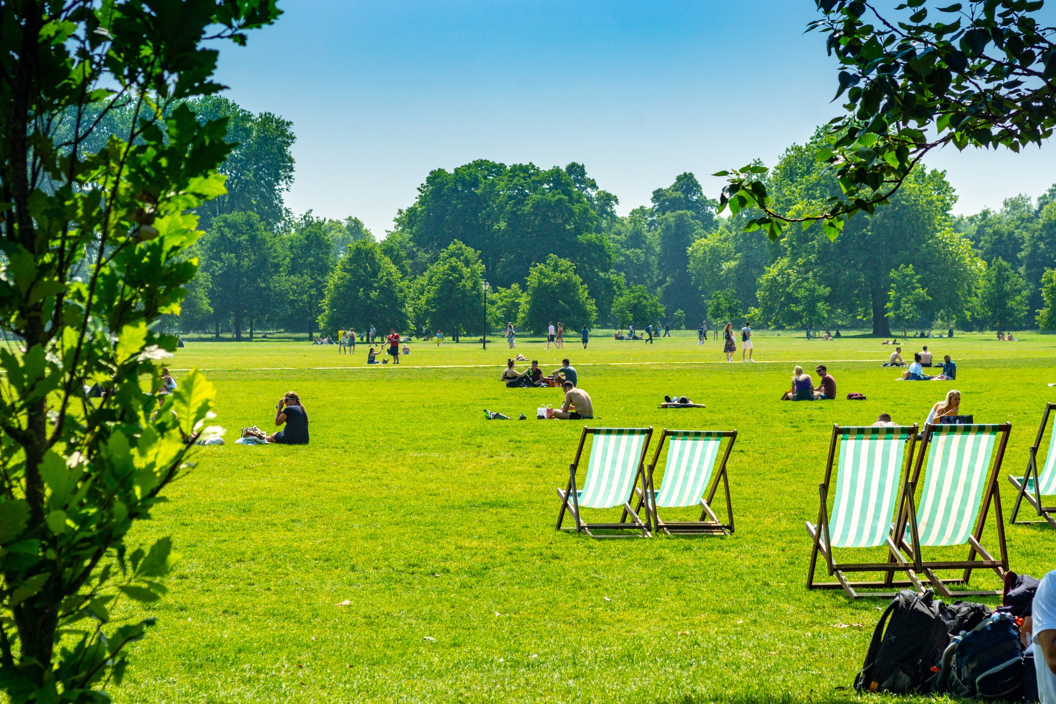 Met Office Forecasts Extreme: Month-Long 45C Heatwaves for UK Within 12 Years