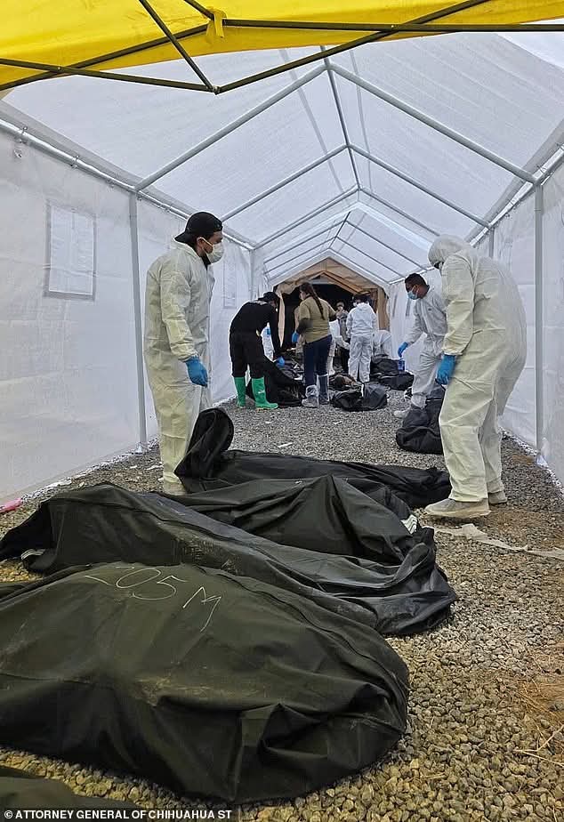 Nearly 400 Corpses Found in Mexican “House of Horror”