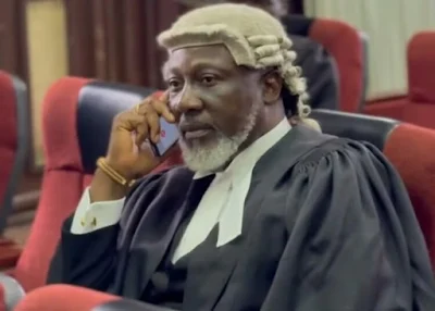 Former Senator Dino Melaye Appears in Court for the First Time as Lawyer