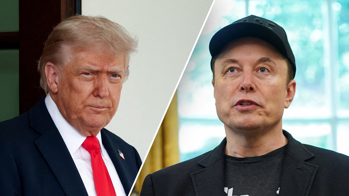 US President Donald Trump has threatened to deport his former adviser, Elon Musk,
