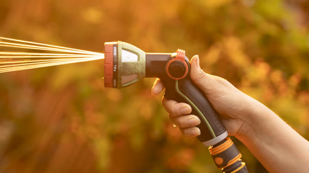 Hosepipe Ban Imposed by Southern Water in Hampshire and Isle of Wight